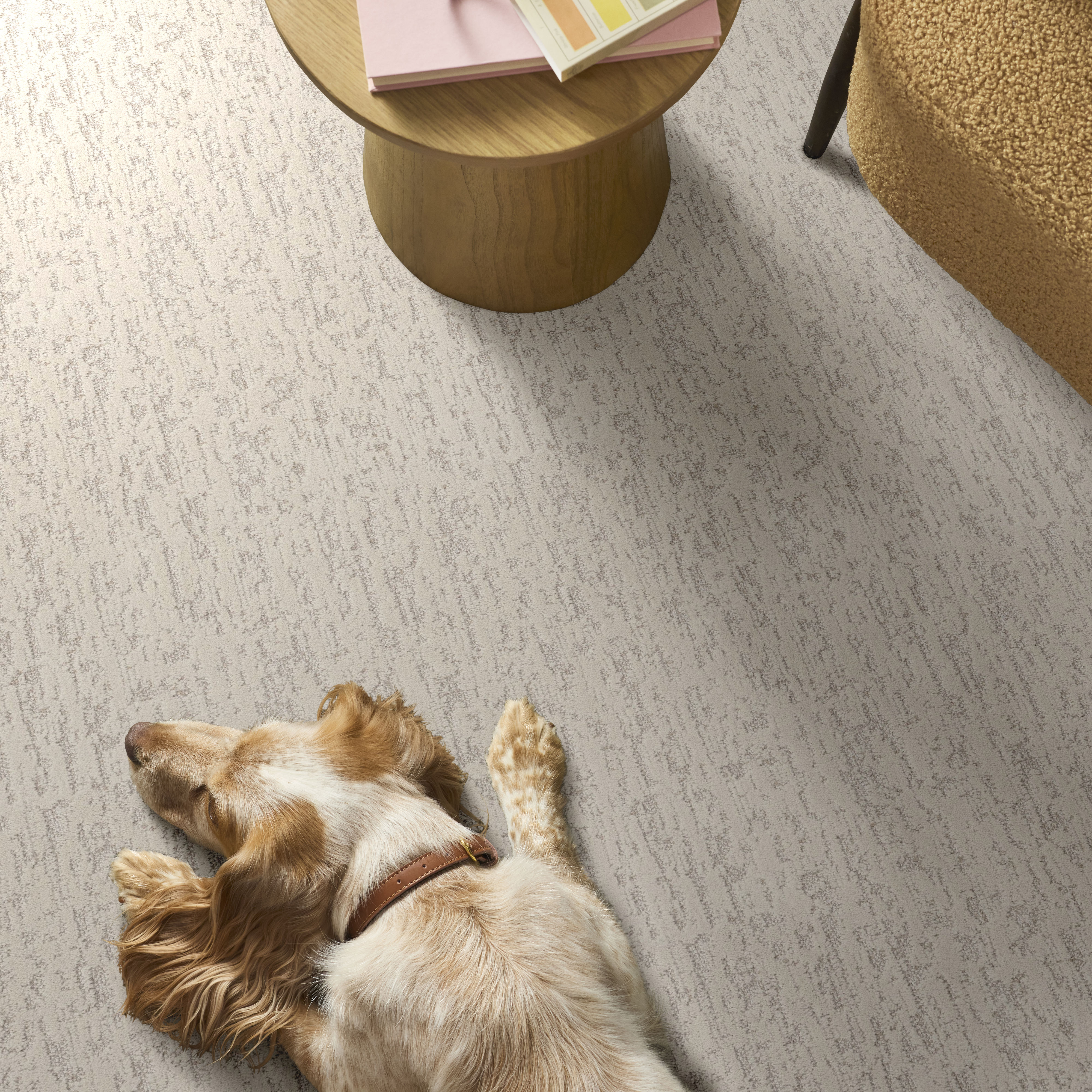 Calm Expression - Classic Pearl Carpet | Shaw Floors